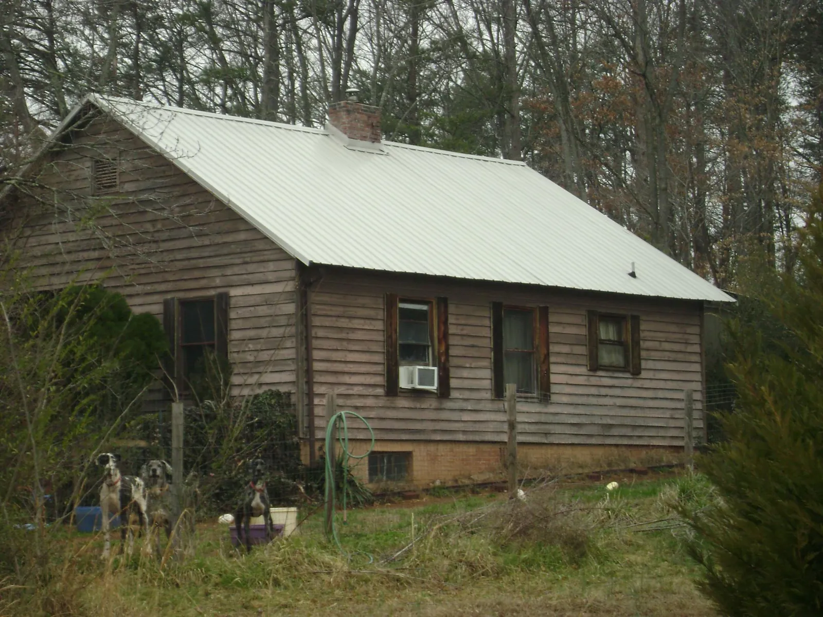White metal roof on an old wood sided farmhouse, from a Asphalt Shingle Roof Repair job in Newtonville